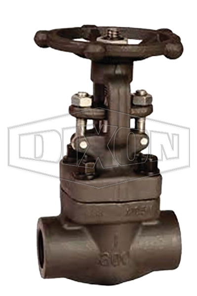Class 800 Forged Steel Globe Valve